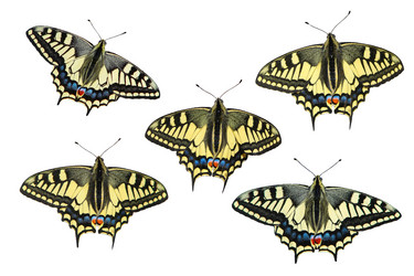 Similar image 10872317