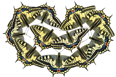 Similar image 10872318