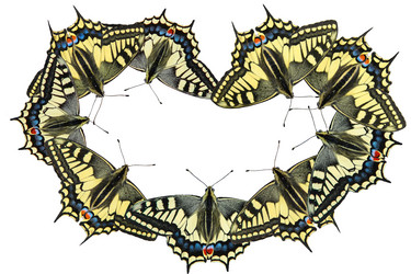 Similar image 10872319