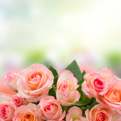 Similar image 10873479