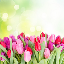 Similar image 10873480