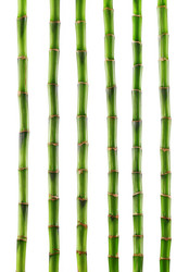 Similar image 10873356