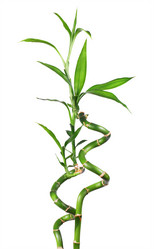 Similar image 10873362