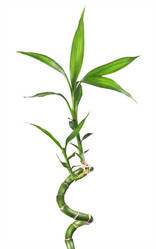 Similar image 10873363