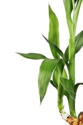 Similar image 10873364