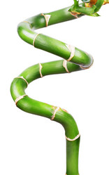 Similar image 10873365