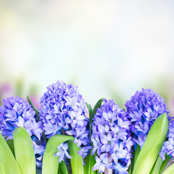 Similar image 10873482