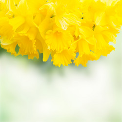 Similar image 10873483