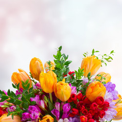 Similar image 10873516