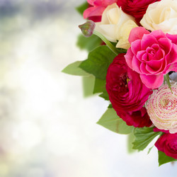 Similar image 10873517