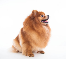 Similar image 10894179