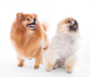 Similar image 10894180