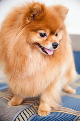 Similar image 10873562