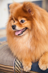 Similar image 10873563