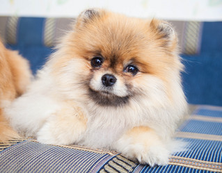 Similar image 10873564