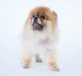 Similar image 10873565