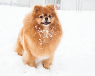 Similar image 10873494