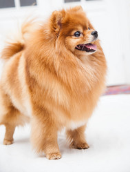 Similar image 10873495