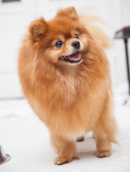 Similar image 10879147