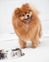 Similar image 10873496