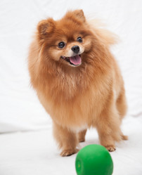 Similar image 10873497