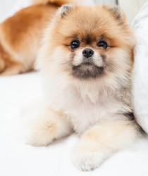 Similar image 10879149