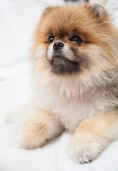 Similar image 10879190