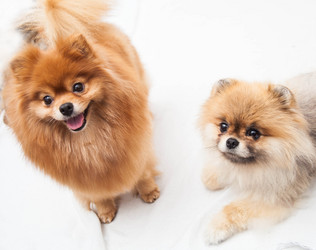 Similar image 10879191