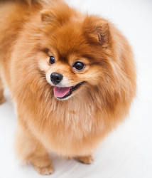 Similar image 10879192