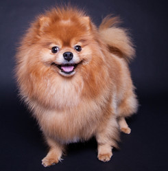 Similar image 10879194