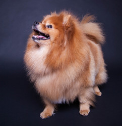 Similar image 10879206