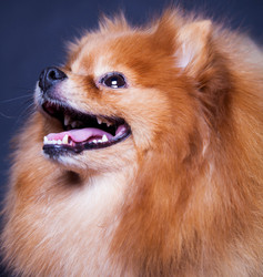 Similar image 10879207