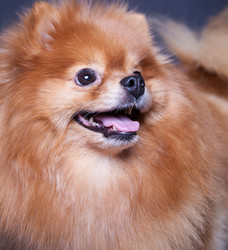 Similar image 10879208