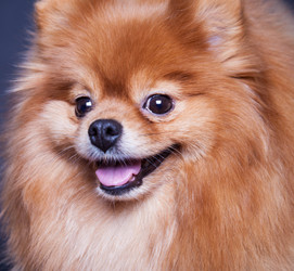 Similar image 10879209