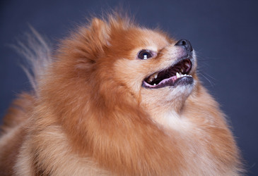 Similar image 10873498