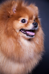 Similar image 10879212