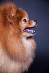 Similar image 10873499