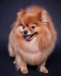 Similar image 10879213