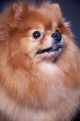 Similar image 10873500