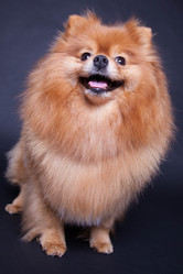 Similar image 10873501