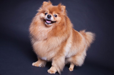 Similar image 10879225