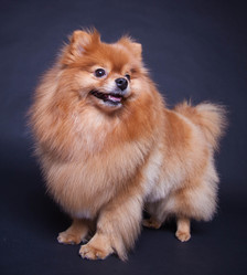 Similar image 10873502