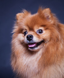 Similar image 10873503