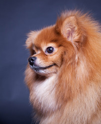 Similar image 10879226