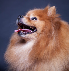 Similar image 10873544