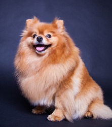 Similar image 10873545