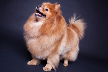 Similar image 10873546