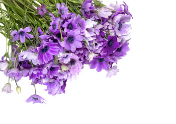 Similar image 10872363