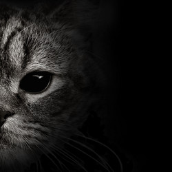 Similar image 10872478