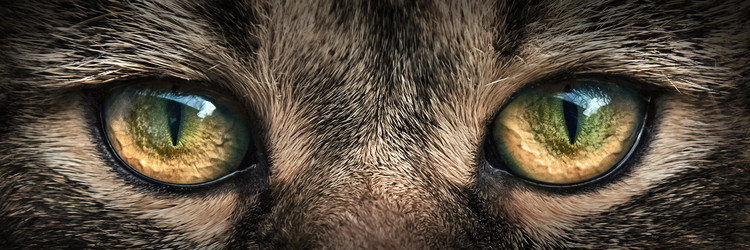 Similar image 10872479